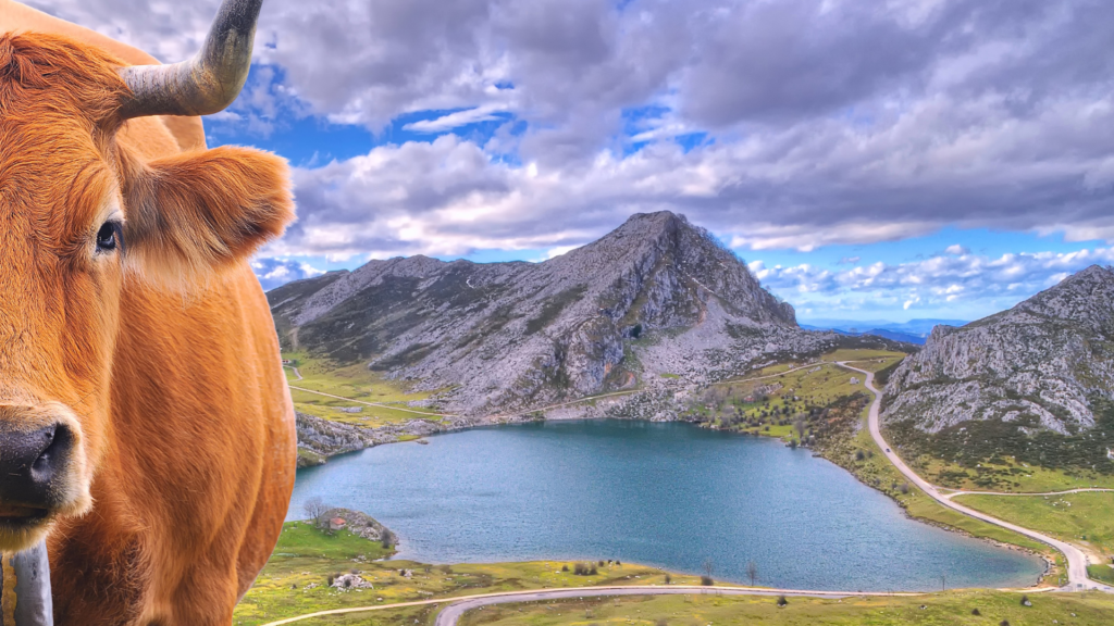 Lagos de Covadonga con ABL